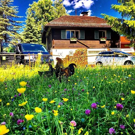 Gaestehaus Hohe Tannen بيت ضيافة