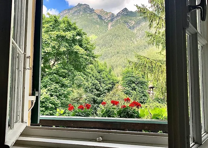 Hohe Tannen