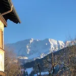 게스트하우스 Gaestehaus Hohe Tannen 3*